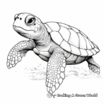 Realistic Flatback Sea Turtle Coloring Pages for Children 2