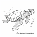 Realistic Flatback Sea Turtle Coloring Pages for Children 3