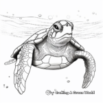 Realistic Flatback Sea Turtle Coloring Pages for Children 4