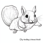 Realistic Flying Squirrel Coloring Pages 2