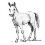Realistic Foal Coloring Sheets 1