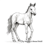 Realistic Foal Coloring Sheets 2