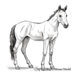 Realistic Foal Coloring Sheets 3