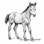 Realistic Foal Coloring Sheets 4