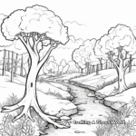 Realistic Forest Landscape Coloring Pages 1