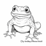 Realistic Frog Species Coloring Pages 1