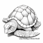 Realistic Green Sea Turtle Shell Coloring Pages 1