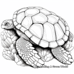 Realistic Green Sea Turtle Shell Coloring Pages 2