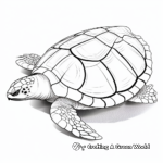Realistic Green Sea Turtle Shell Coloring Pages 4