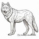 Realistic Grey Wolf Coloring Pages 3