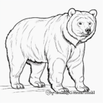 Realistic Grizzly Bear Coloring Pages 1