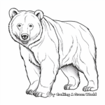 Realistic Grizzly Bear Coloring Pages 2