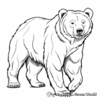 Realistic Grizzly Bear Coloring Pages 3