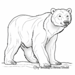 Realistic Grizzly Polar Bear Coloring Pages 1