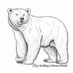 Realistic Grizzly Polar Bear Coloring Pages 4
