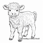 Realistic Highland Cow Coloring Pages 1
