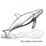 Realistic Humpback Whale Coloring Pages 2