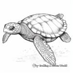 Realistic Leatherback Sea Turtle Coloring Pages 1