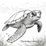 Realistic Leatherback Sea Turtle Coloring Pages 2