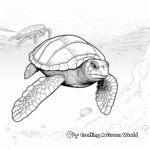 Realistic Leatherback Sea Turtle Coloring Pages 4