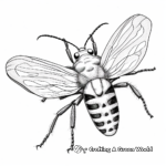 Realistic Lightning Bug Coloring Pages 3