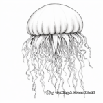 Realistic Lion's Mane Jellyfish Coloring Page 3