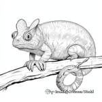 Realistic Madagascar Chameleon Coloring Sheets 2