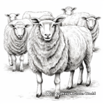 Realistic Multi-Breed Sheep Sampler Coloring Page 2