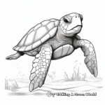 Realistic Olive Ridley Sea Turtle Coloring Pages 1