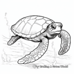 Realistic Olive Ridley Sea Turtle Coloring Pages 2