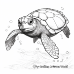 Realistic Olive Ridley Sea Turtle Coloring Pages 3