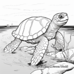 Realistic Olive Ridley Sea Turtle Coloring Pages 4