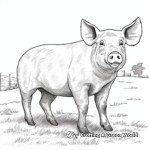 Realistic Pig Farm Animal Coloring Pages 1