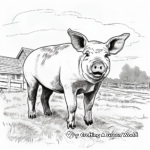 Realistic Pig Farm Animal Coloring Pages 3
