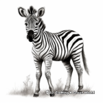 Realistic Plains Zebra Coloring Pages 4