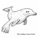 Realistic Platypus Sketch Coloring Pages 2