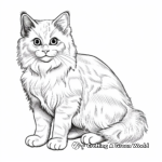 Realistic Ragdoll Cat Coloring Pages 1