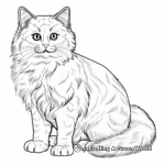 Realistic Ragdoll Cat Coloring Pages 2