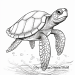 Realistic Sea Turtle Coloring Pages 1