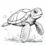 Realistic Sea Turtle Coloring Pages 3