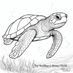 Realistic Sea Turtle Coloring Pages 4