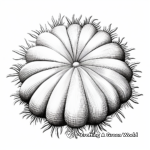Realistic Sea Urchin Coloring Pages 1