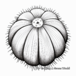 Realistic Sea Urchin Coloring Pages 3