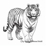 Realistic Siberian Tiger Coloring Pages 2