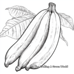 Realistic Single Banana Coloring Pages 4