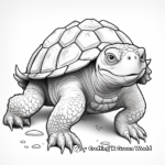 Realistic Snapping Turtle Coloring Pages 1