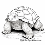 Realistic Snapping Turtle Coloring Pages 2