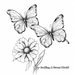 Realistic Spring Butterflies Coloring Pages 3