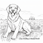 Realistic St Bernard Coloring Pages for Dog Lovers 1