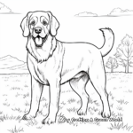 Realistic St Bernard Coloring Pages for Dog Lovers 3